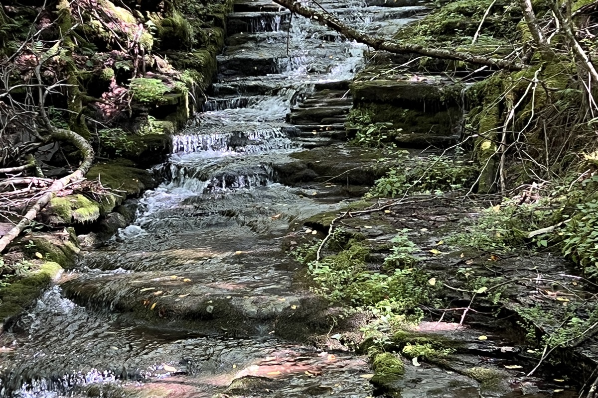 Creek and waterfalls, if you're up for a challenge