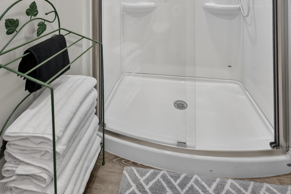 Glass-enclosed walk-in shower offering a fresh, modern bathing experience.