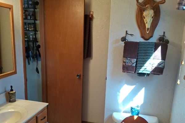 Downstairs bathroom