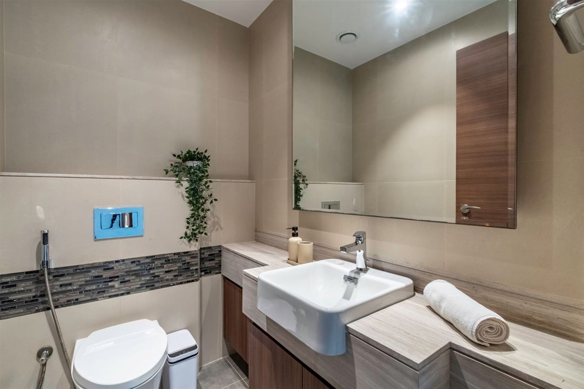 Spacious guest toilet