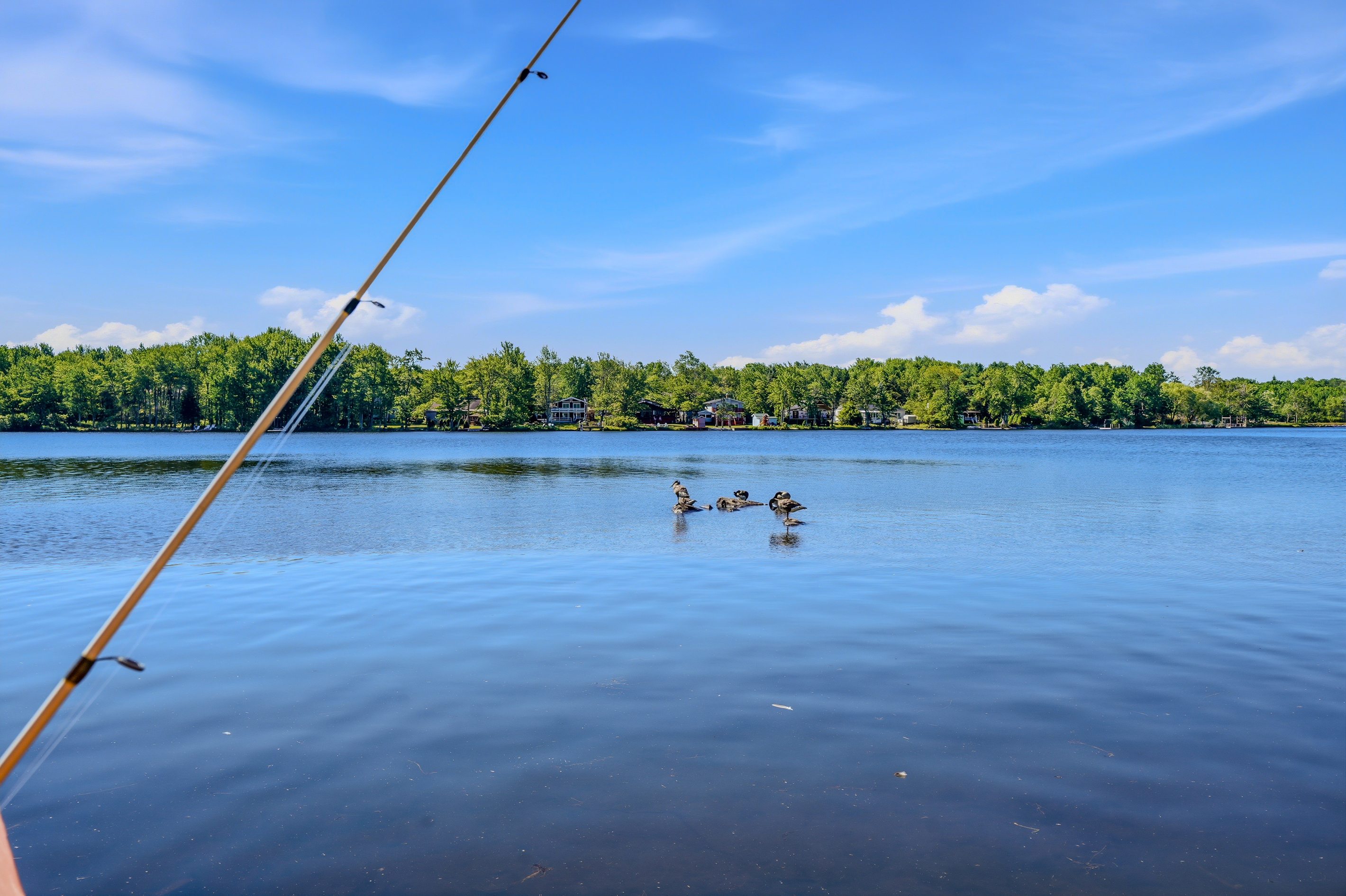 Peaceful morning on Lake Carobeth — fishing, kayaking, and open water await