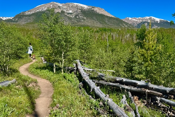 Great hiking within a few minutes