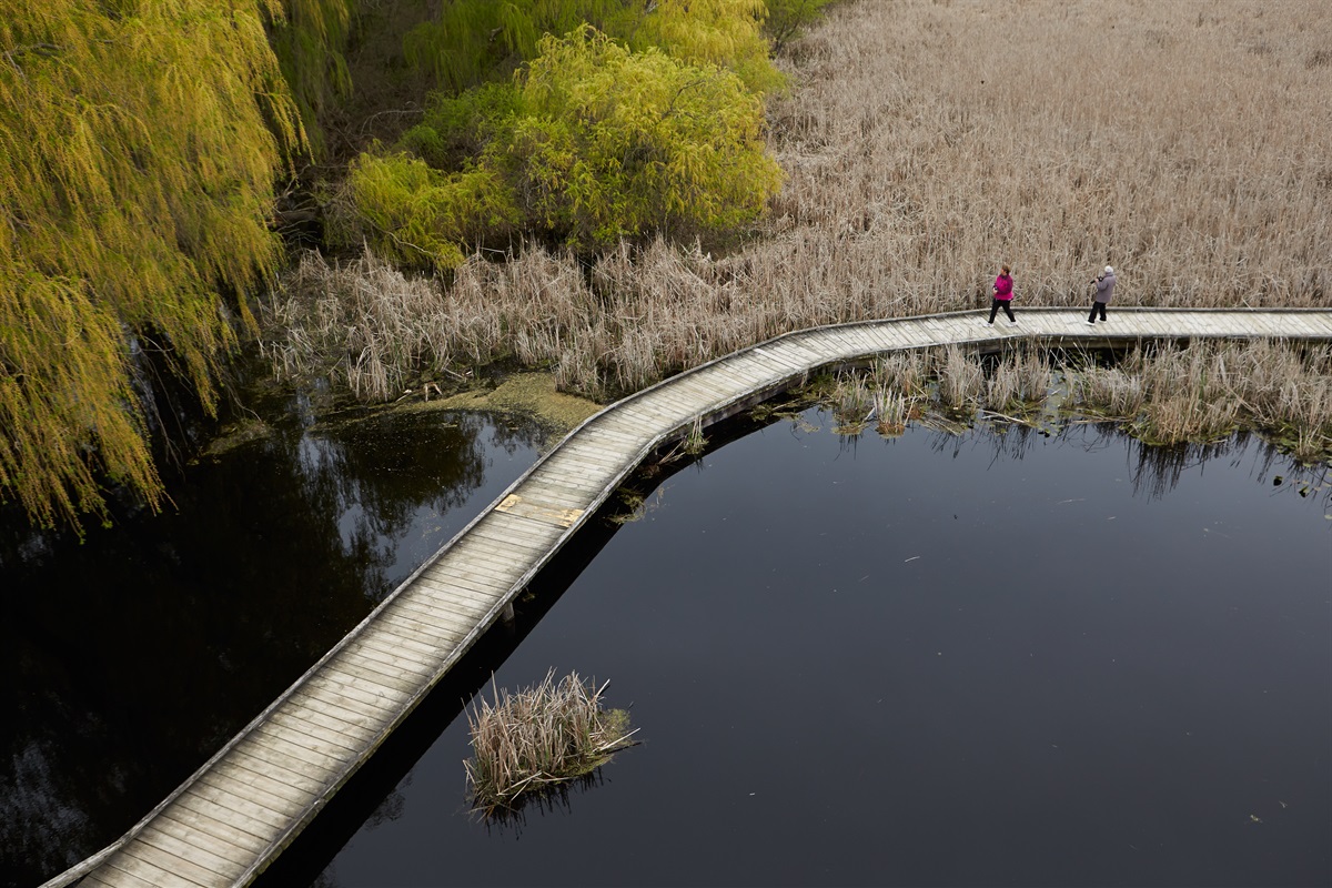 Walk the Marsh Boardwalk at Point Pelee National Park.