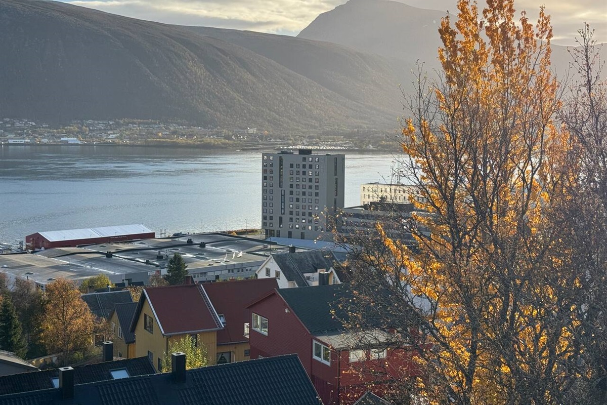View from livingroom 