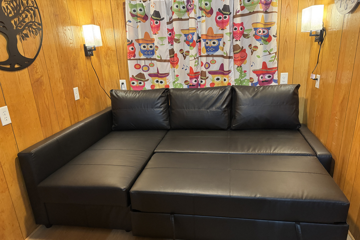 Sleeper sofa in living room 