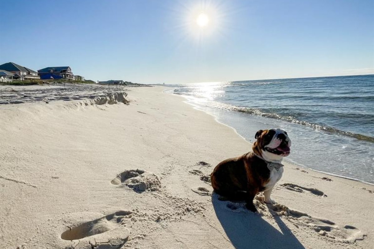 The Ona • Gulf Shores, AL Getaway and Stay