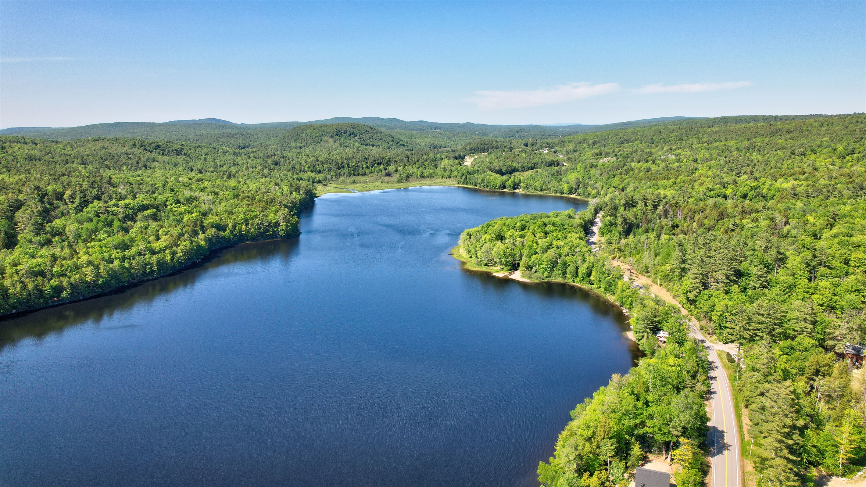 Local loon on Long Pond!