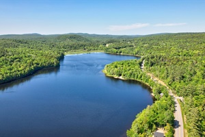 Local loon on Long Pond!