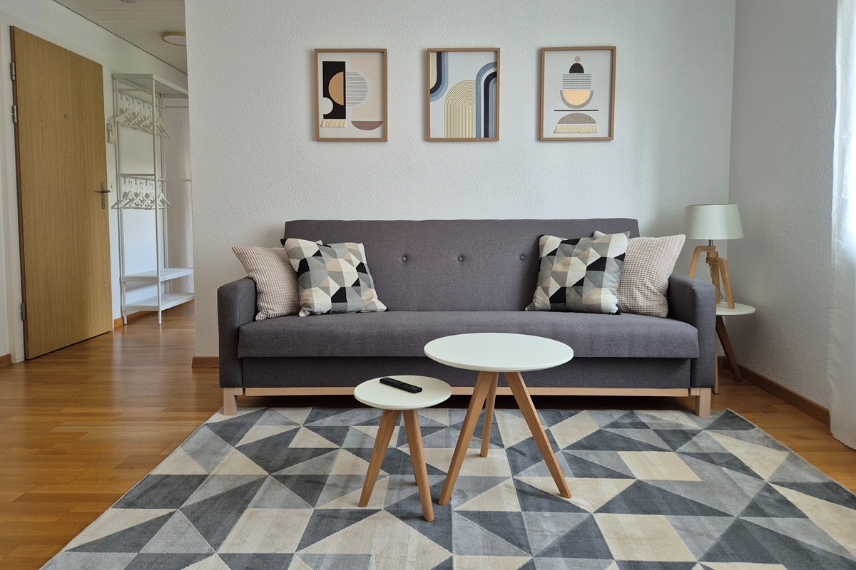 Living room with sofabed