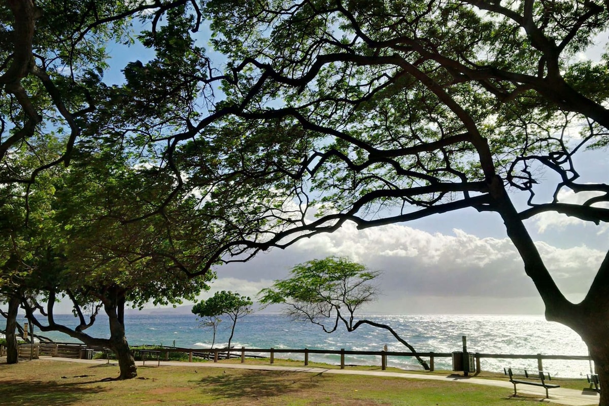 Kamaole 3 beach park is a short 3 minute walk away