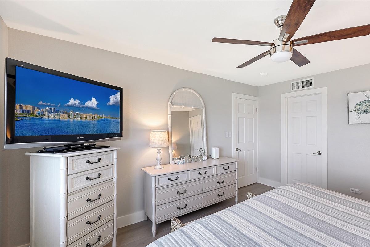 Master bedroom TV and closet