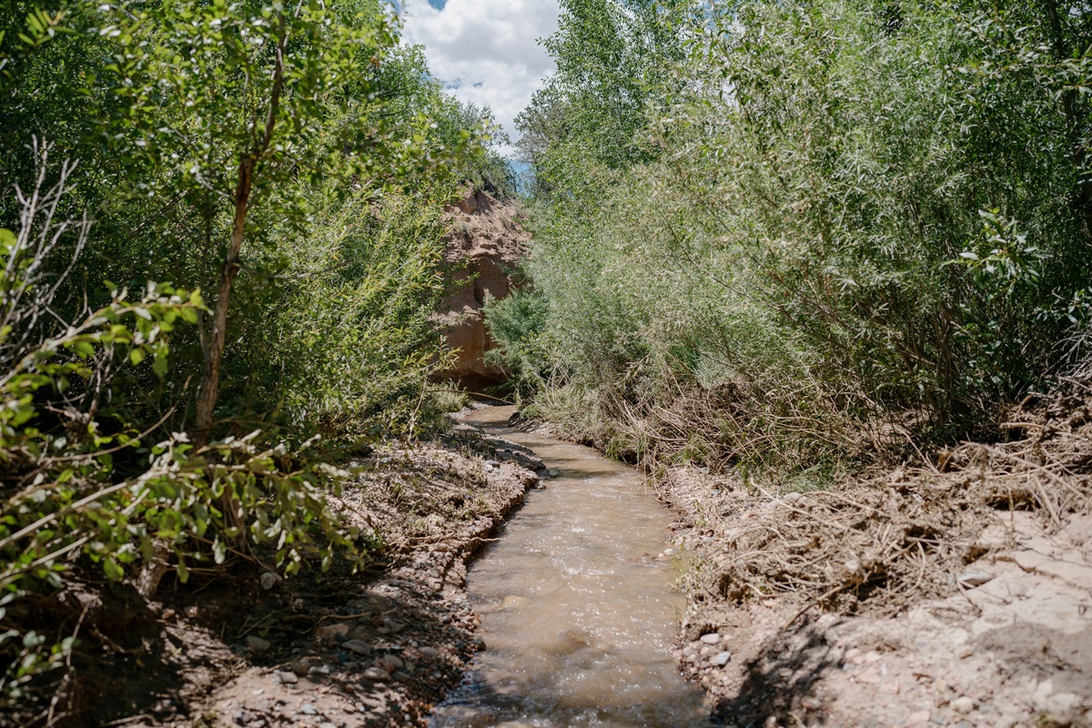 Trail