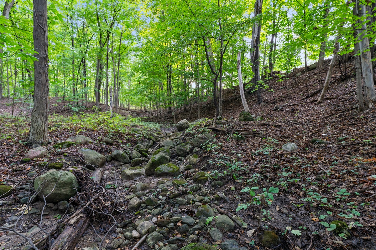 Stroll through your very own wooded paradise with towering trees and serene forest views.