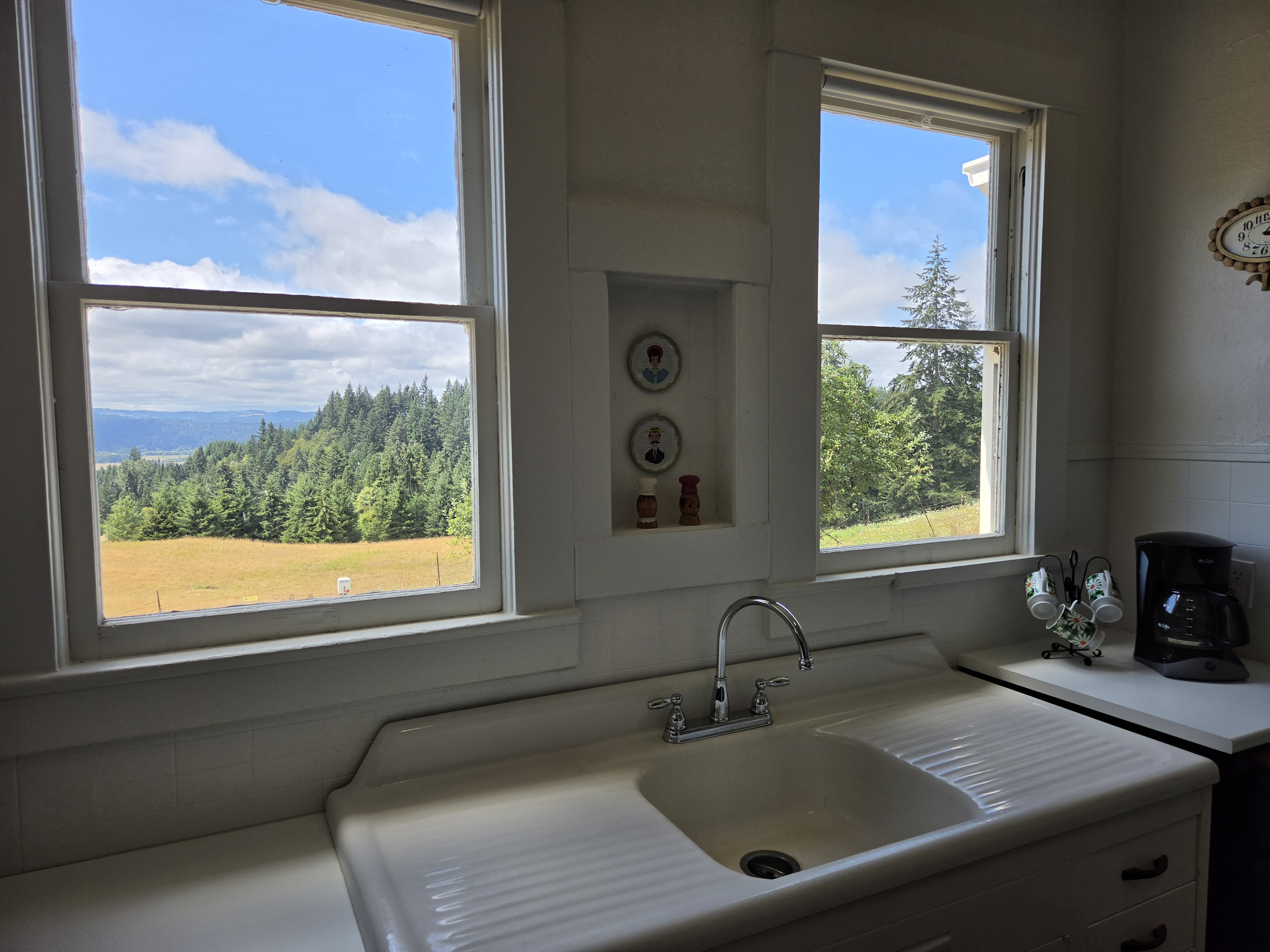 Kitchen - Pasture view