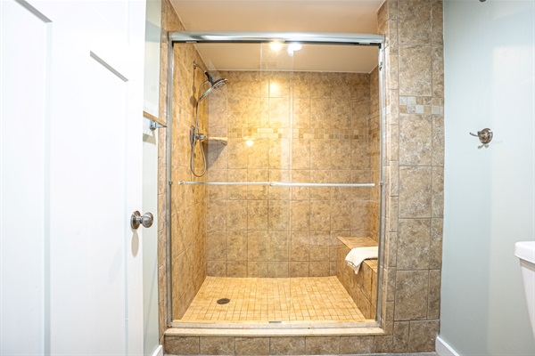 Master bathroom walk in shower