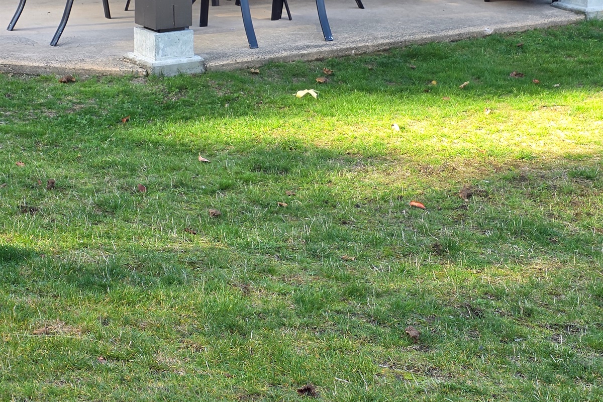 Unit A  - Covered Patio - Natural gas BBQ.