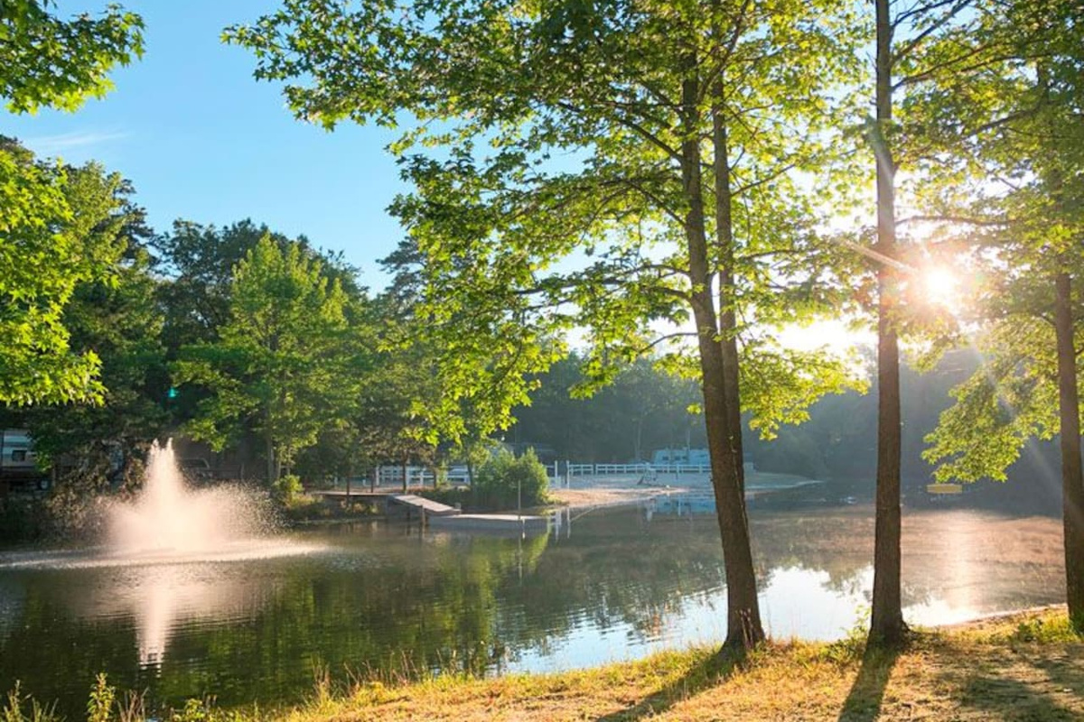 Swimming Lake
