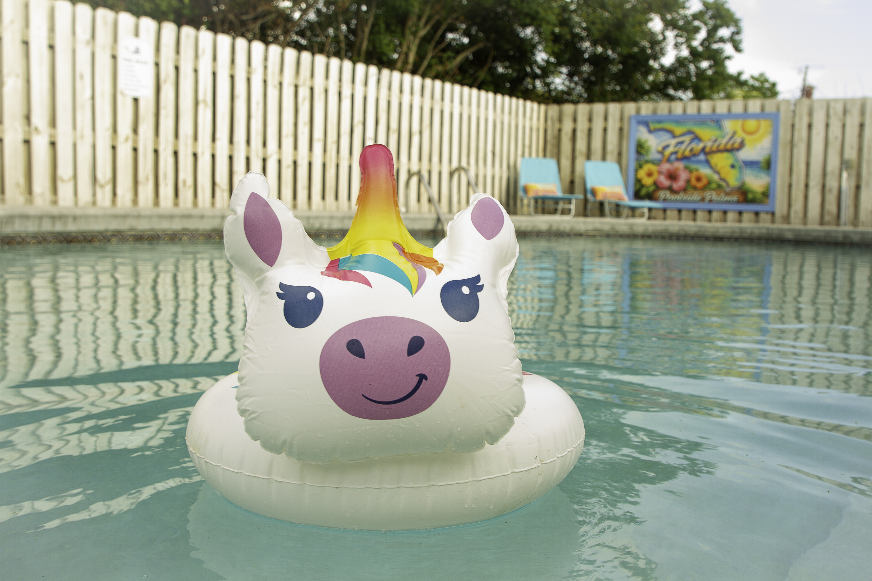1 of our floaties gone rogue by the pool