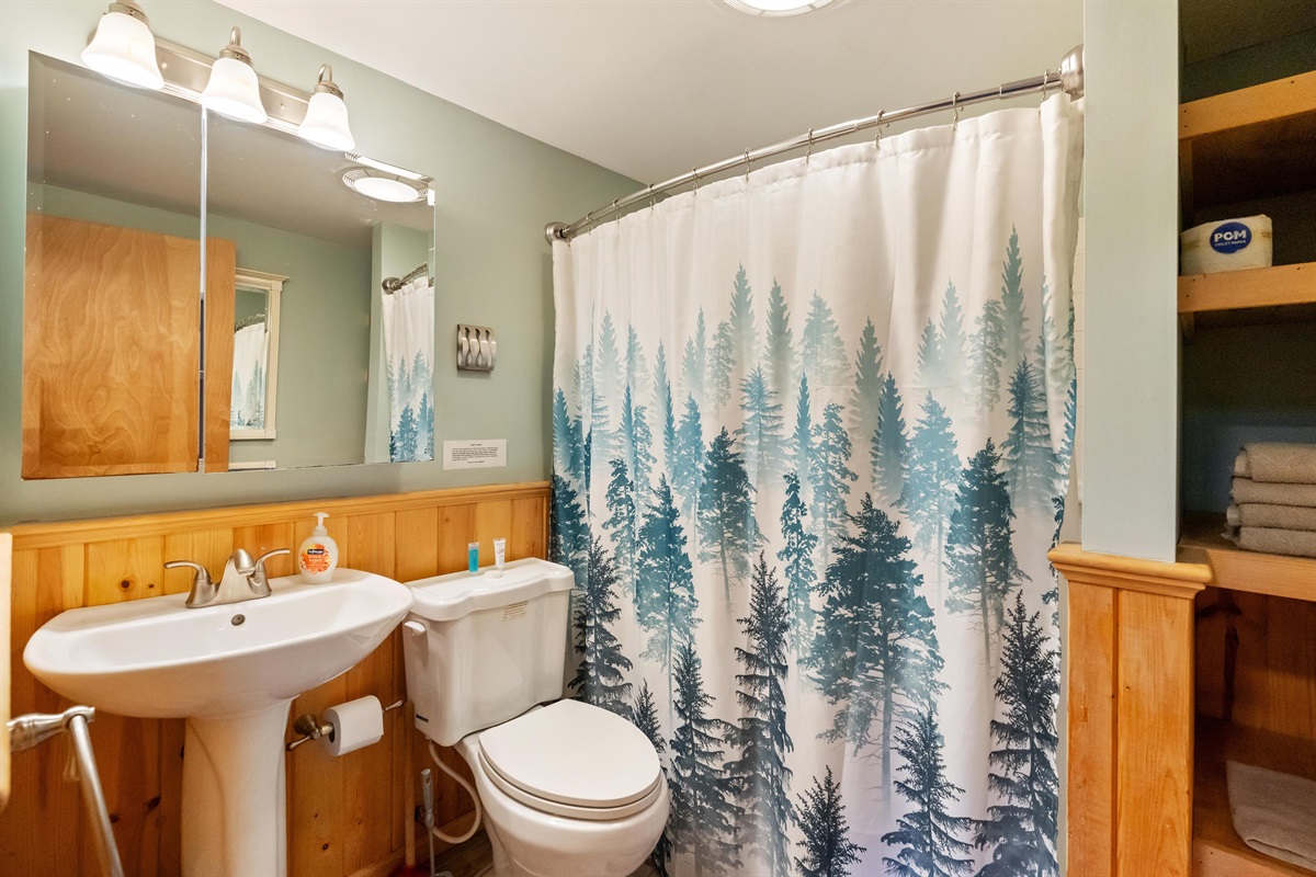 Lower Level full bathroom