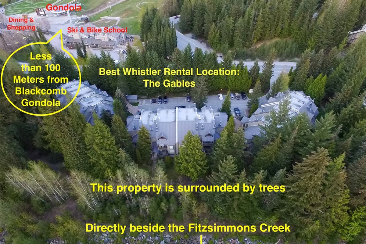 Best Whistler Rental location, Unit#1 sits between Whistler & Blackcomb Mtn. Less than 150 steps to Whistler Skier's Plaza and an equal distance to Fitzsimmons Trail which puts you at the base of Blackcomb Gondola. Best of both worlds, best location.