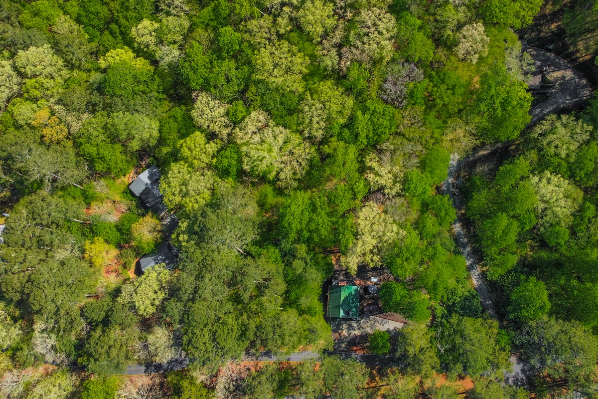 Look how the cabin is surrounded in the woodlands with pathway lights to enjoy all the waterfront and outdoor lounging spaces!