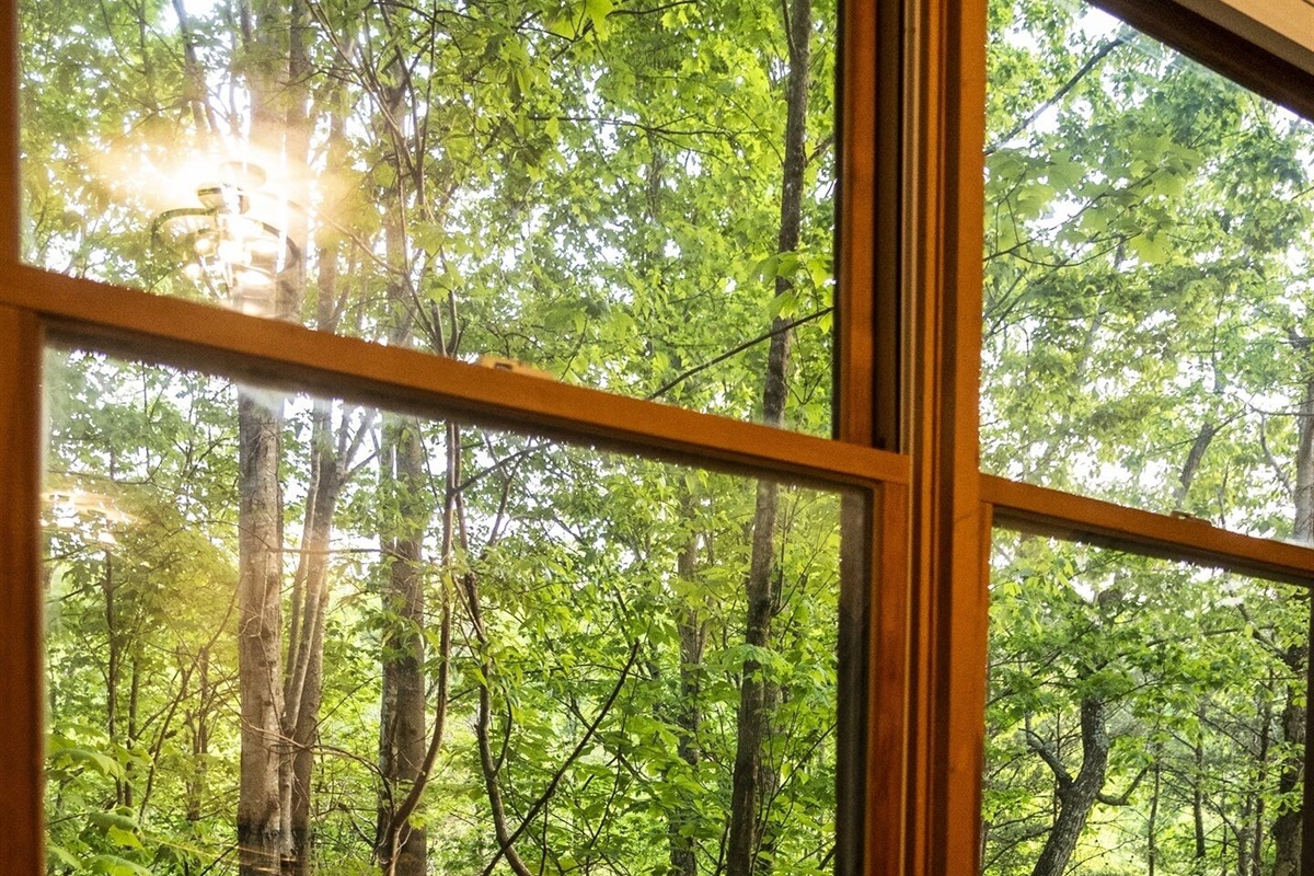 All of the windows have beautiful views of trees