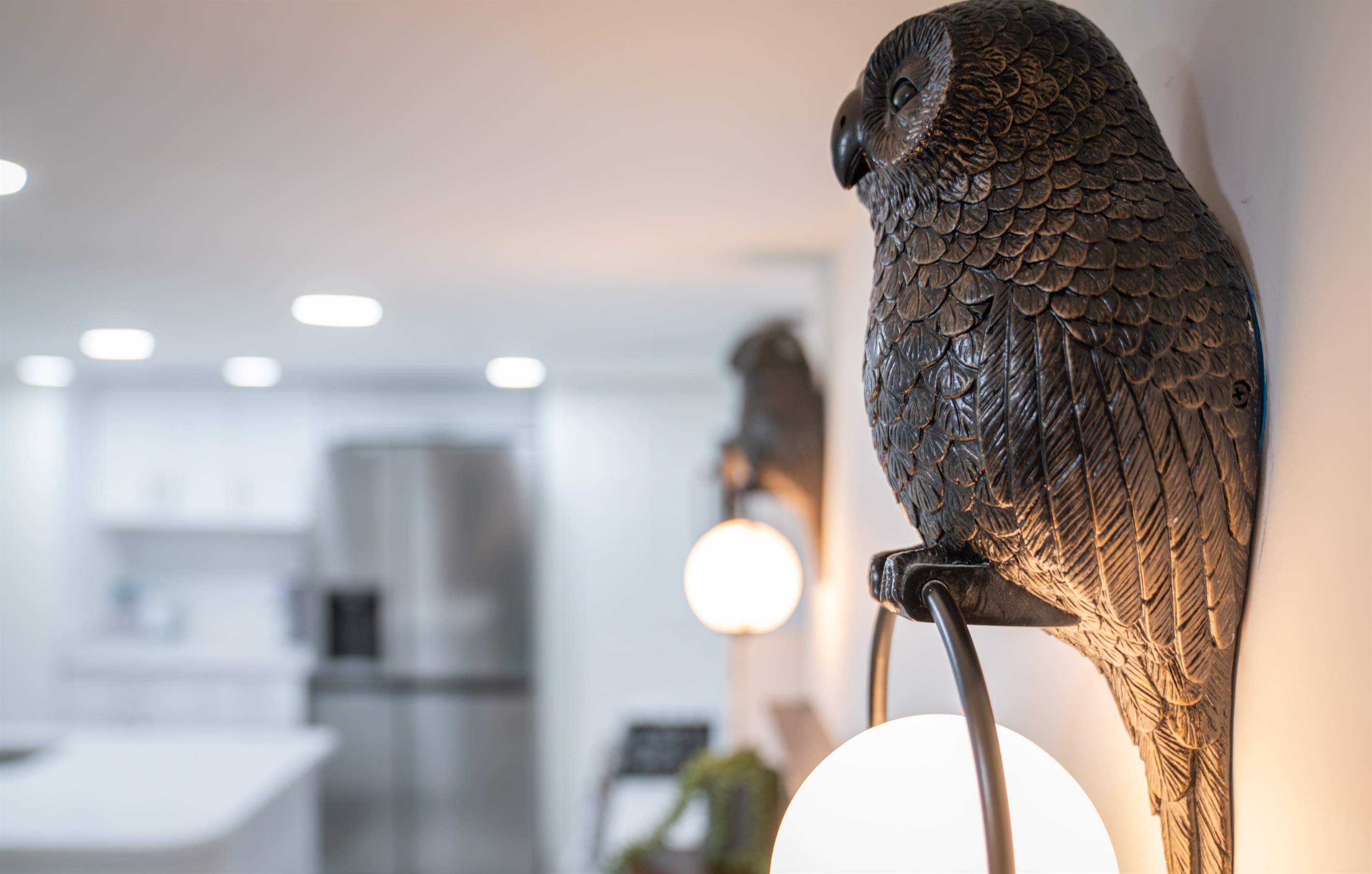 Enjoy all the curated and unique features of the house