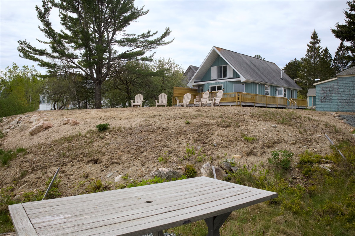 Yes, the grass is currently growing -- just looks a little drab yet in Spring 2026
