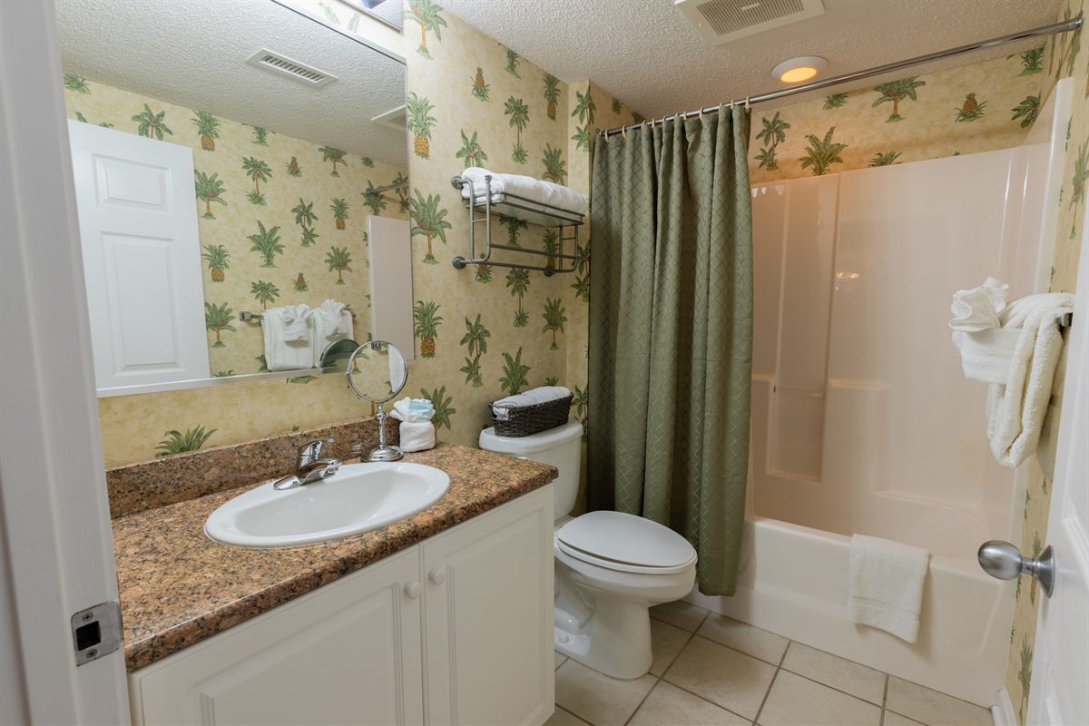 Hall Bathroom