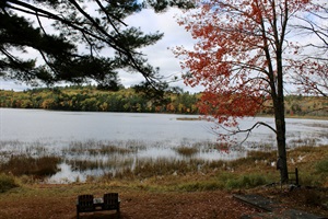 The lake front in fall with Maine fall foliage