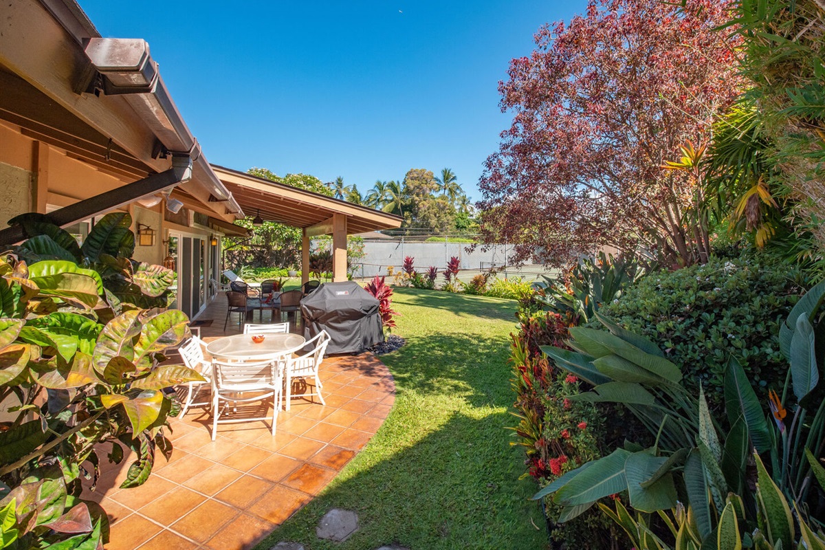 Back yard