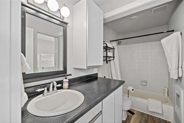 Lower level full bathroom with many amenities