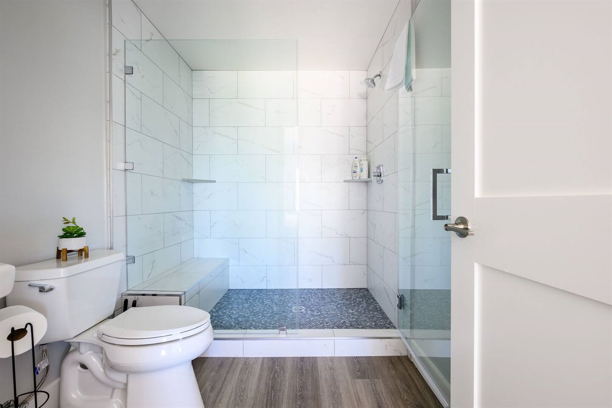 Master bath shower