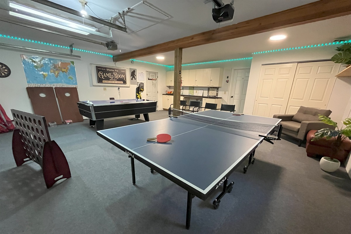 Full size Ping Pong Table