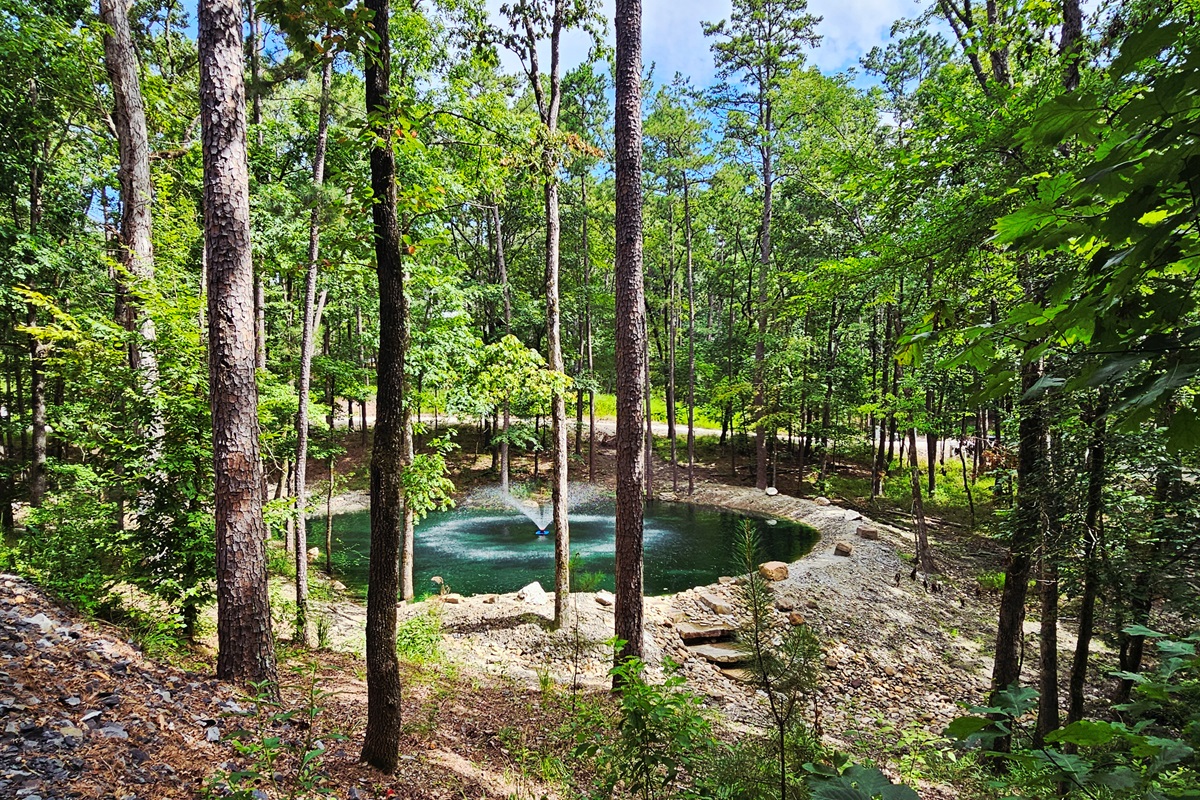 View of the Pond