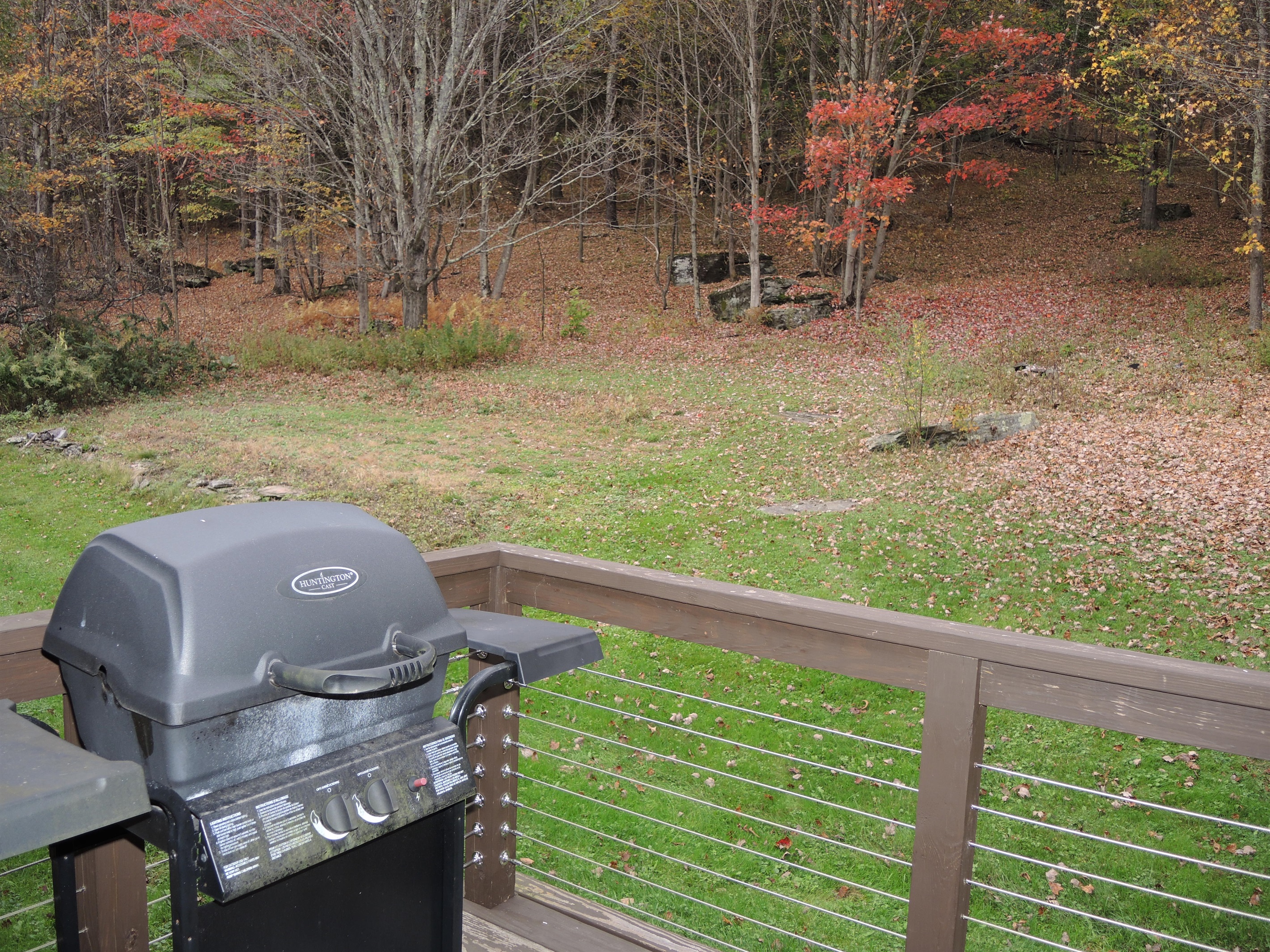 Rear deck with gas grill