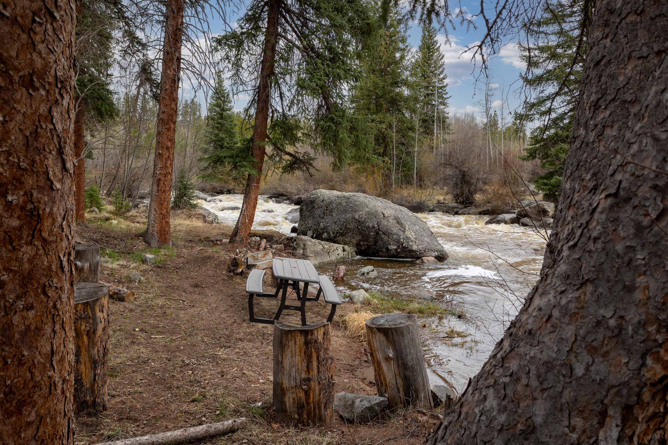 Riverside Picnic Seating