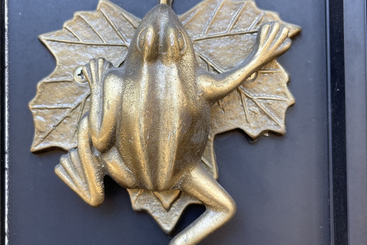Ribbit. Ribbit. Quirky frog (or is it a toad??) door knocker.