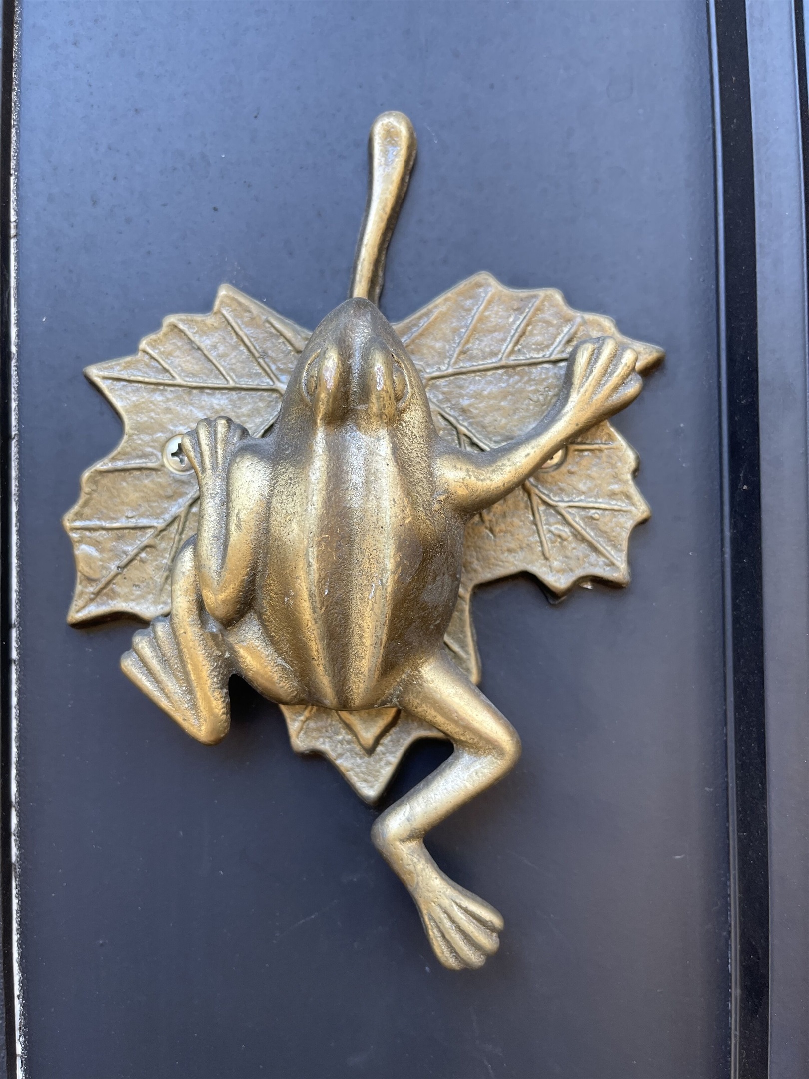 Ribbit. Ribbit. Quirky frog (or is it a toad??) door knocker.