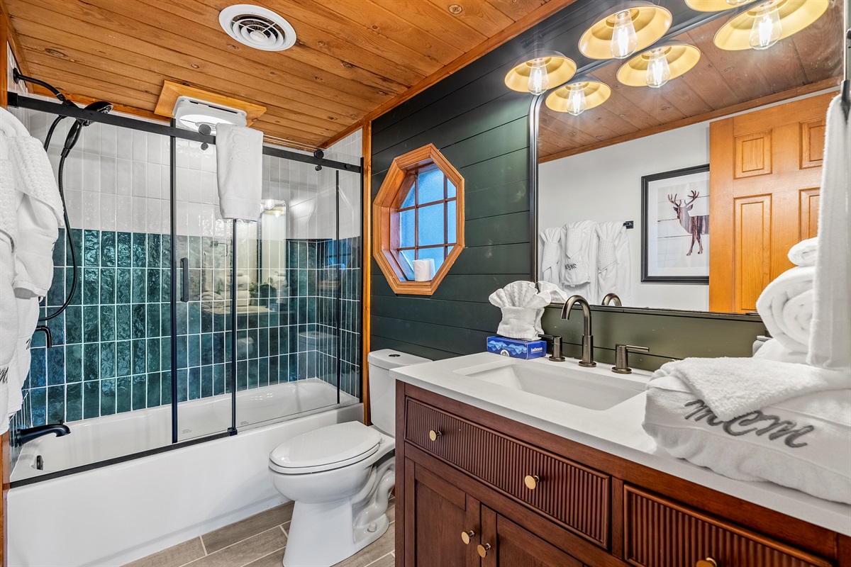 Lower level bath/shower combo with tasteful redesign and blue-tooth speakers