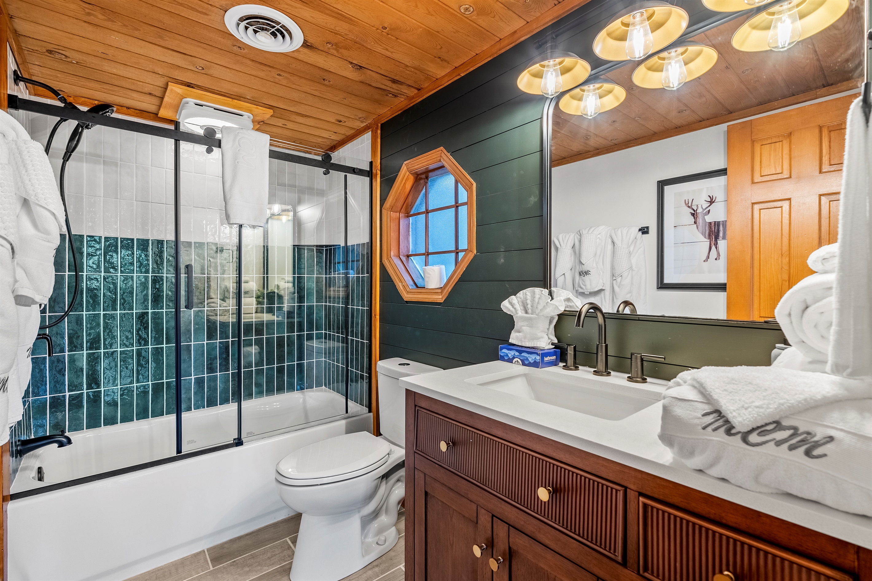 Lower level bath/shower combo with tasteful redesign and blue-tooth speakers
