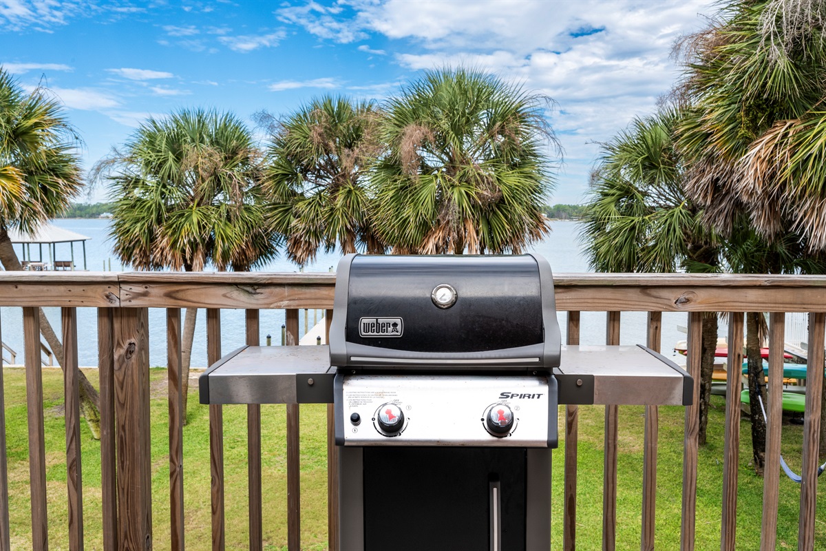 Relaxing lakeside BBQ with a Weber Spirit grill and scenic palm tree views.