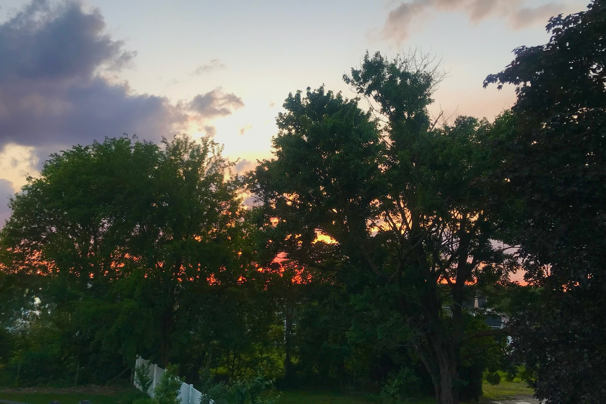 Upstairs bedroom view overlooking the backyard at sunset.