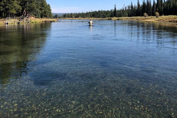 World Class Fly Fishing