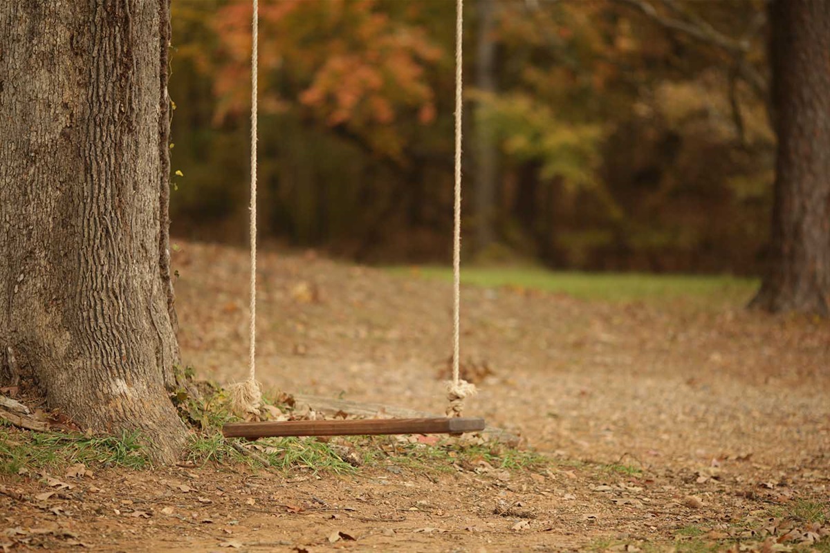 Tree Swing!