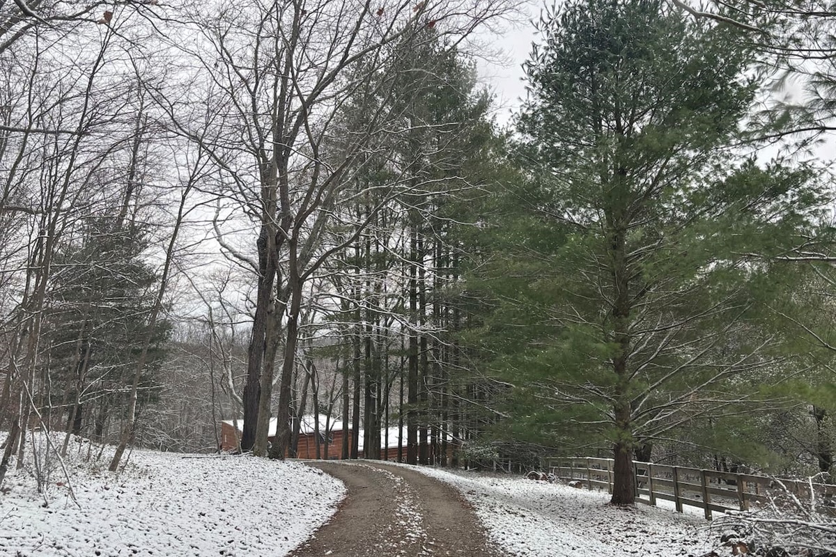 At the top of asphalted driveway turns to gravel before going to asphalt again.