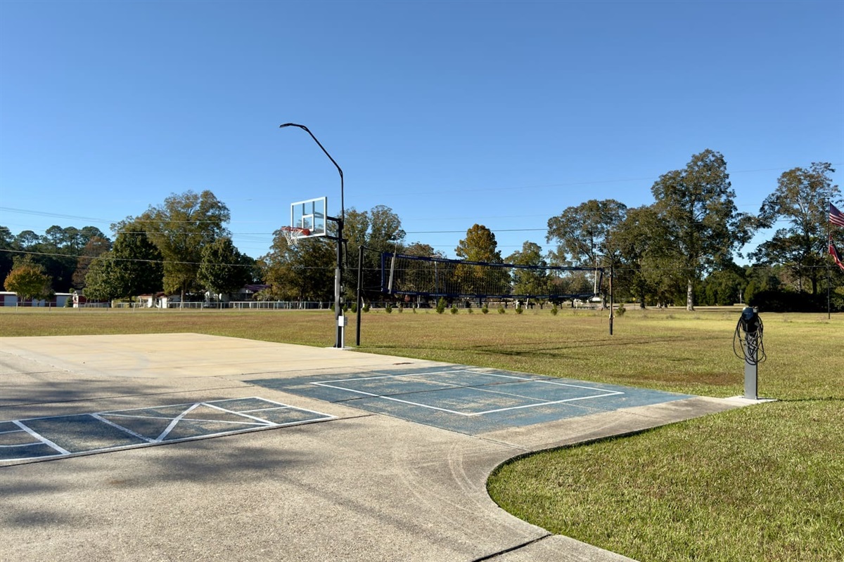 Grassy fields and trees frame the court, giving it a park-like atmosphere.