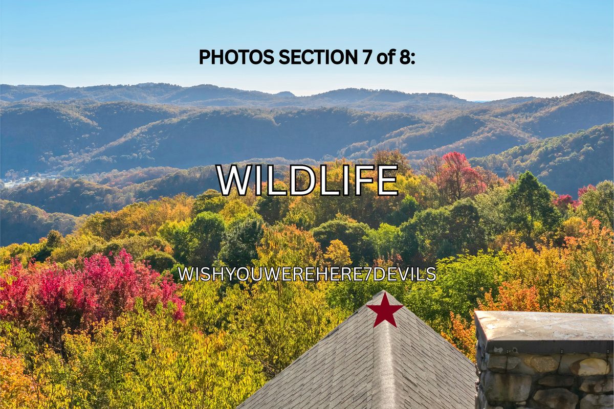 INDEX OF PHOTO LOCATIONS: SECTION 1: EVENTS / 2: HIGHLIGHTS / 3: HOME TOUR / 4: AMENITIES / 5: NEIGHBORHOOD / 6: ATTRACTIONS / 7: WILDLIFE / 8: SEASONAL
