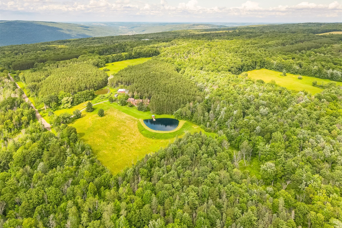Escape to a private countryside retreat featuring a sparkling pond with dock, rolling meadows, and endless forest views—perfect for relaxation and outdoor adventures.