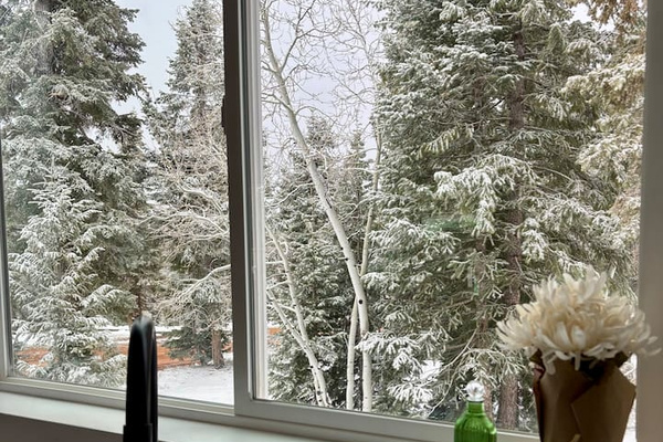 Looking out the window from the kitchen sink. A great view while cleaning up after a meal or preparing a hot cup of coffee